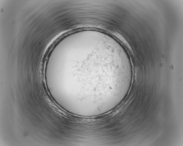 X0000087551068200705112116