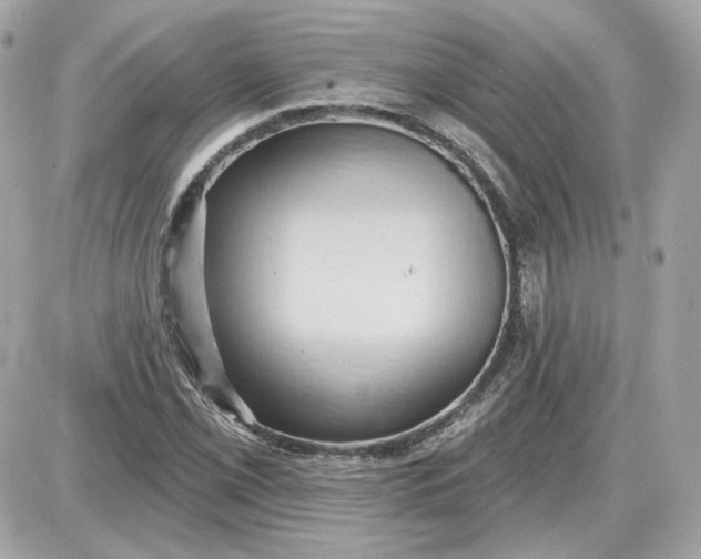 X0000087551069200705112116