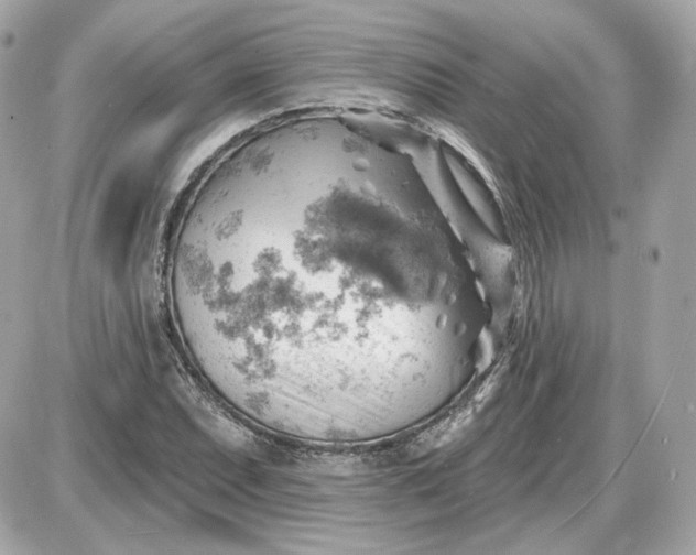 X0000087551071200705112115