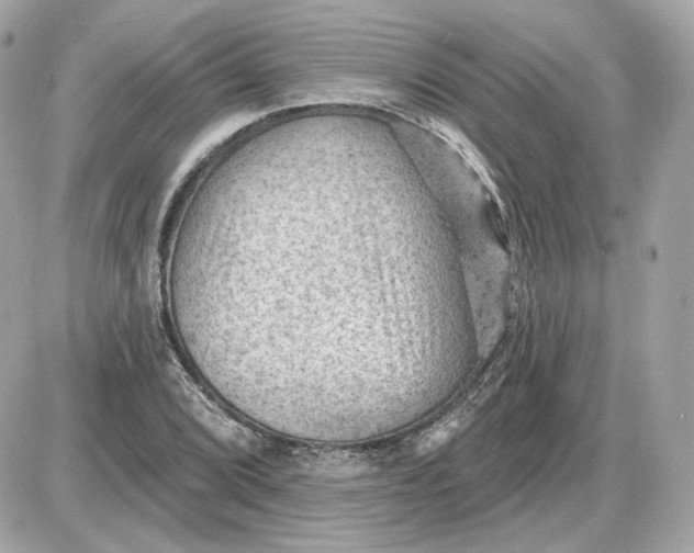 X0000087551072200705112115