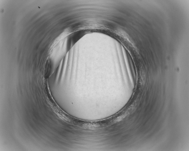 X0000087551073200705112115