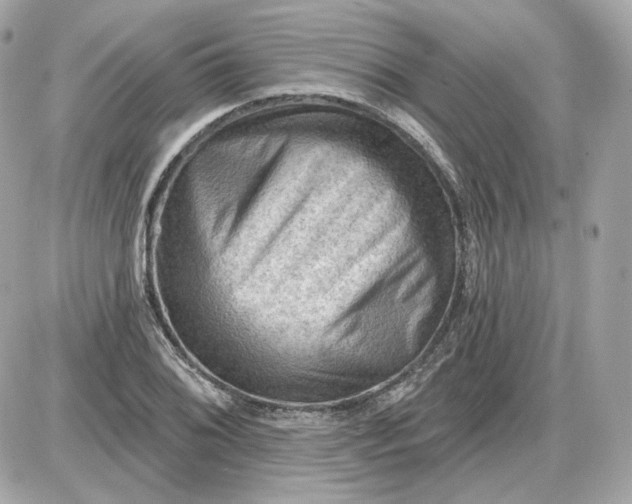 X0000087551076200705112115