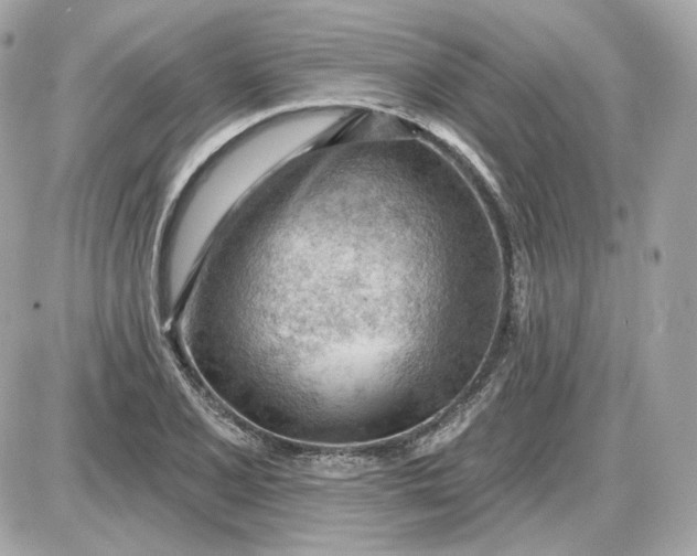 X0000087551077200705112115