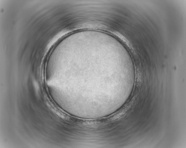 X0000087551078200705112115