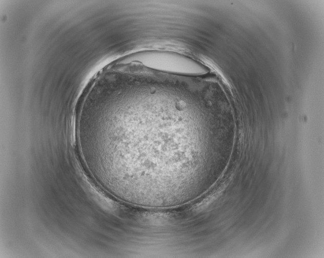 X0000087551079200705112115