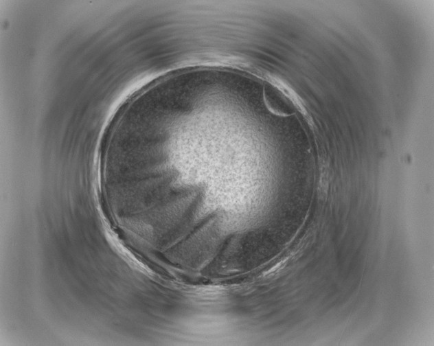 X0000087551080200705112115