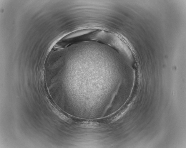 X0000087551081200705112115