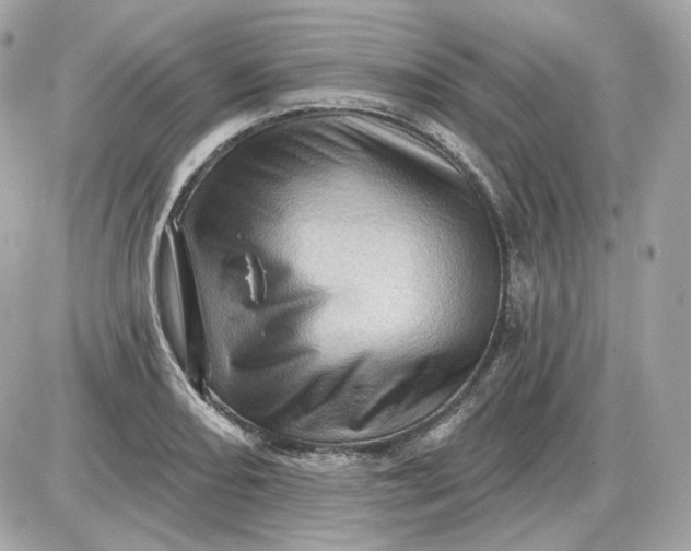 X0000087551082200705112115