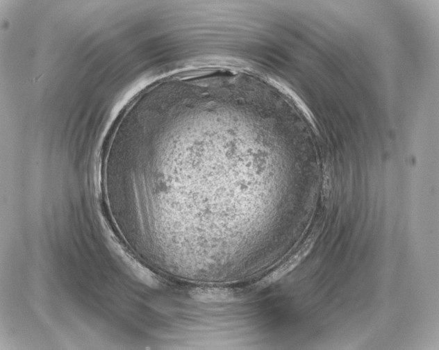 X0000087551083200705112115