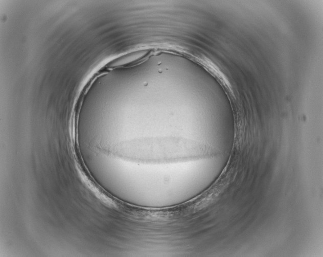 X0000087551084200705112115