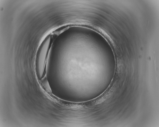 X0000087551085200705112115