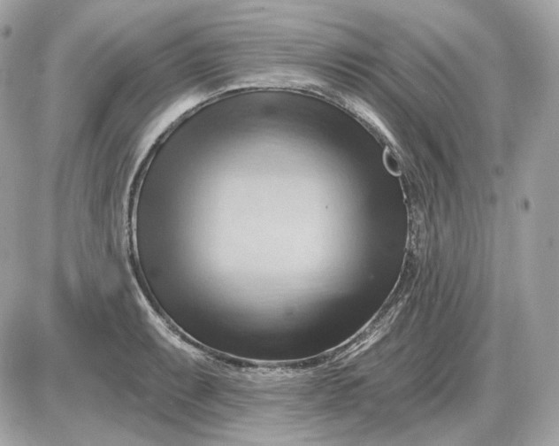 X0000087551087200705112115