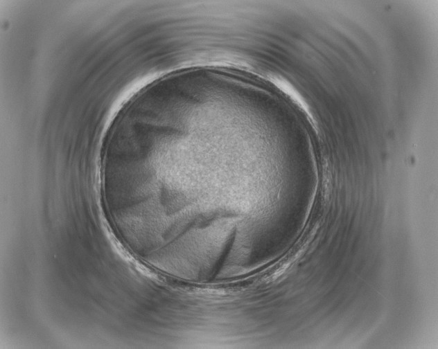 X0000087551088200705112115