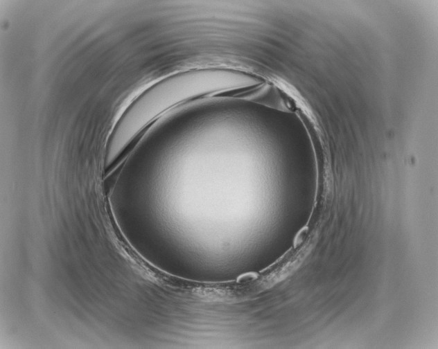 X0000087551089200705112115