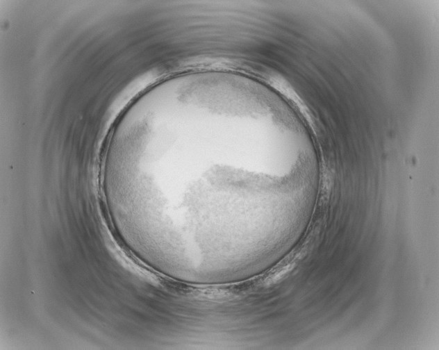 X0000087551090200705112115