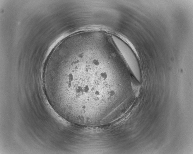 X0000087551091200705112115