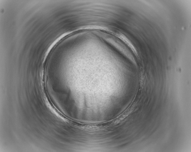 X0000087551092200705112115