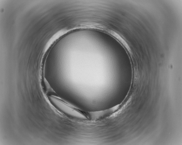 X0000087551093200705112115