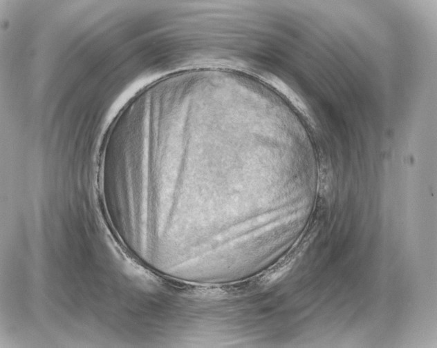 X0000087551094200705112115