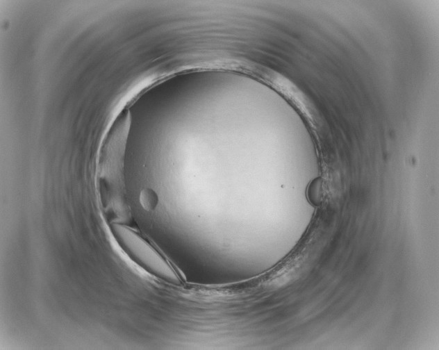 X0000087551095200705112115