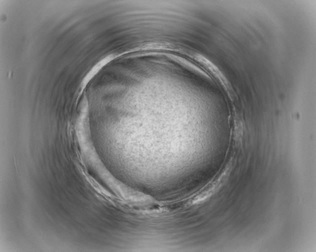 X0000087551097200705112115