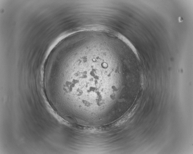 X0000087551099200705112115