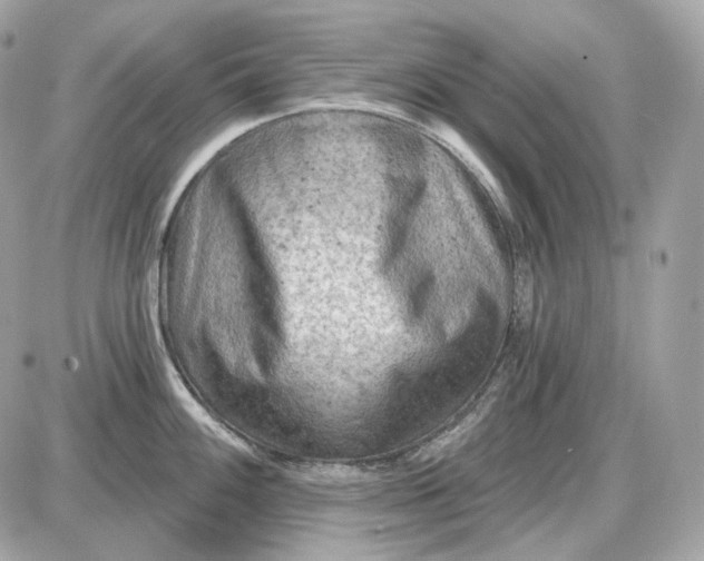 X0000087551100200705112115