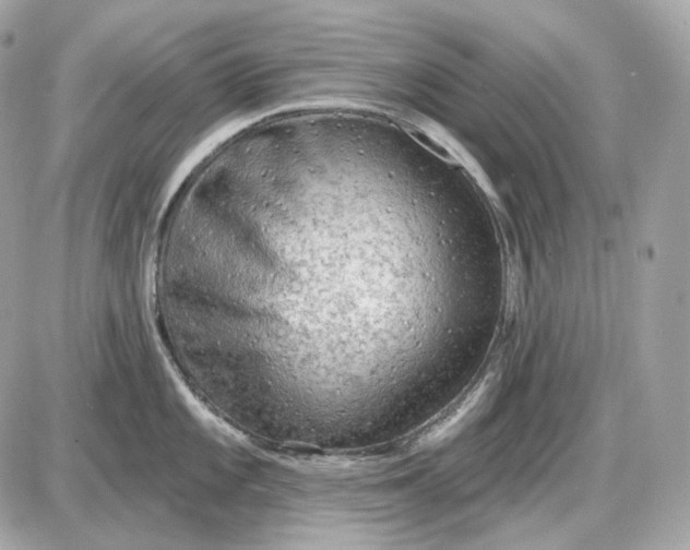 X0000087551101200705112115