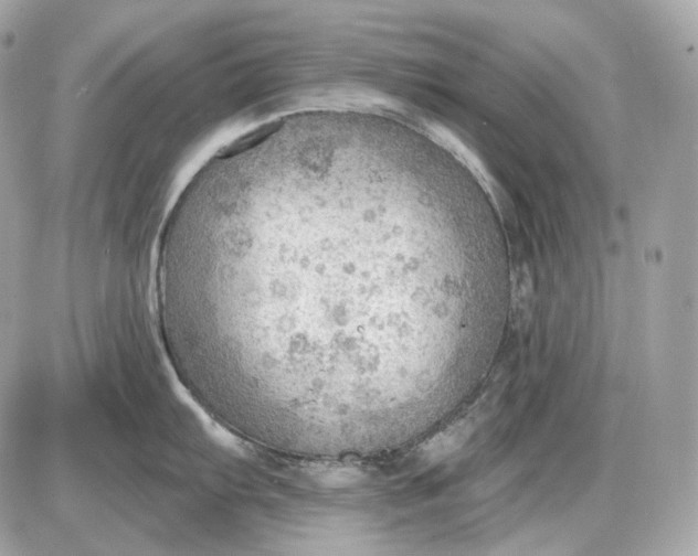 X0000087551103200705112115