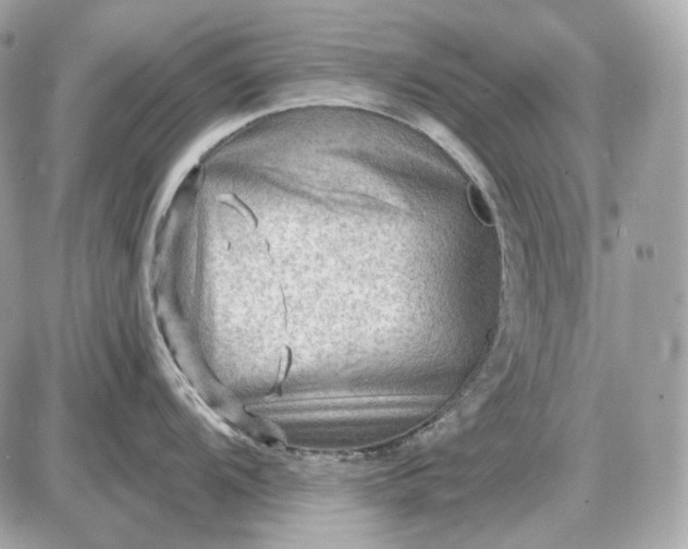 X0000087551104200705112115