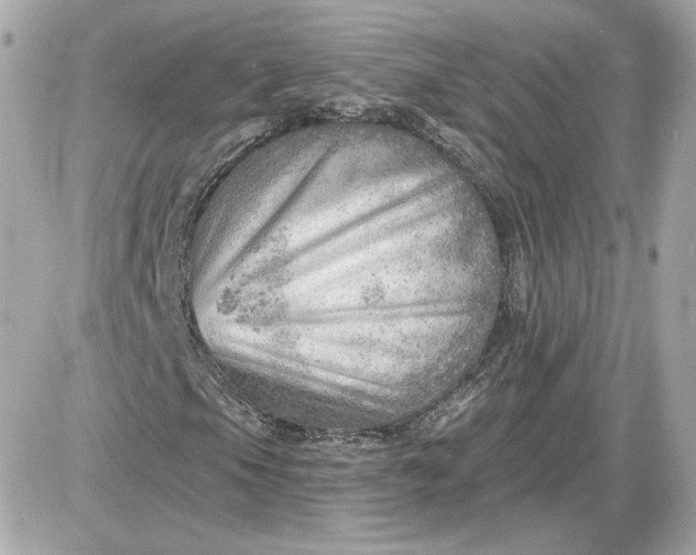 X0000087551105200705112114