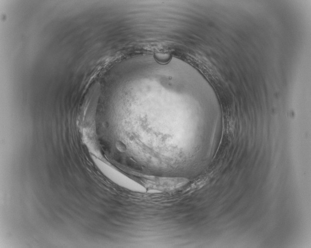 X0000087551106200705112114