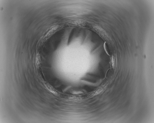 X0000087551107200705112114