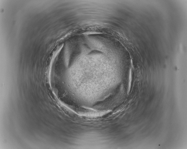 X0000087551109200705112114