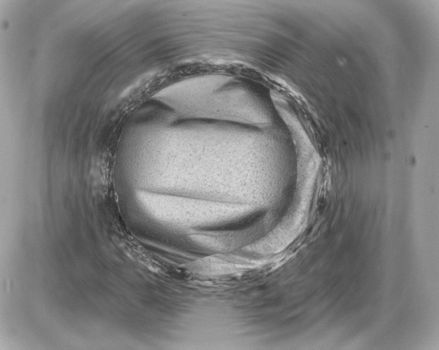 X0000087551110200705112114