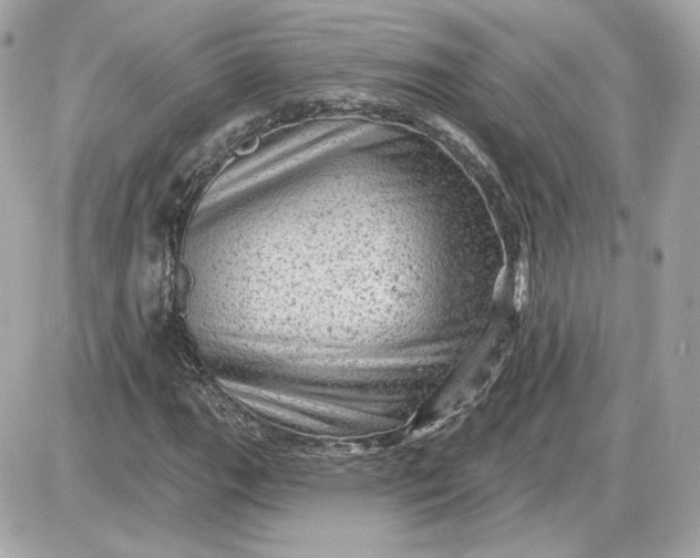 X0000087551111200705112114