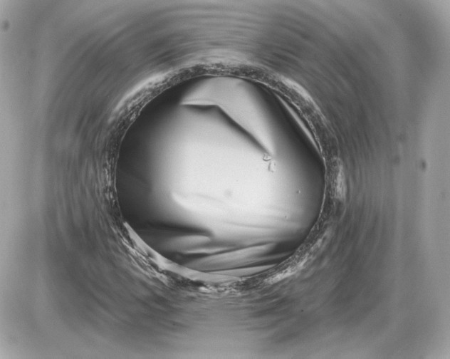 X0000087551112200705112114