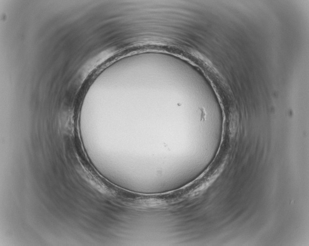 X0000087551113200705112114