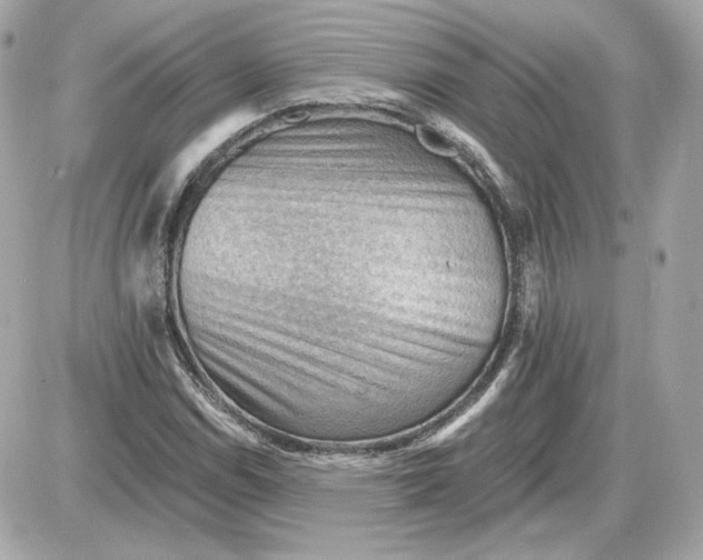 X0000087551114200705112114