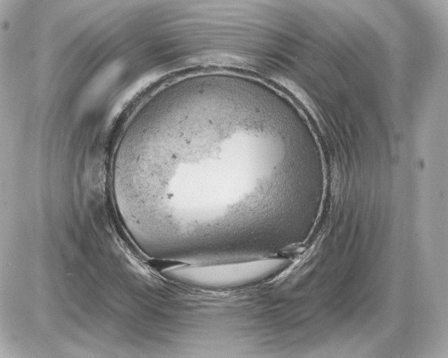 X0000087551115200705112114