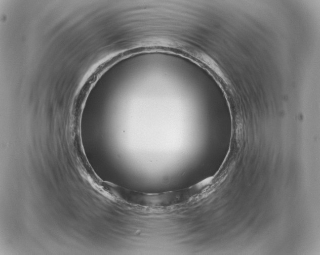 X0000087551116200705112114