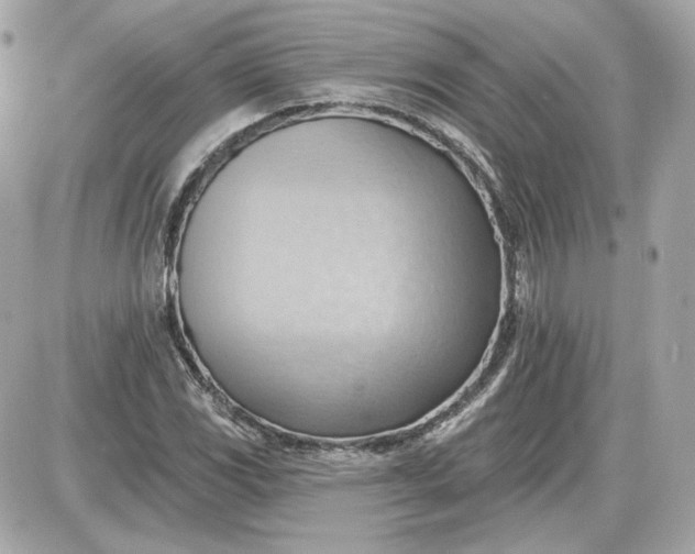 X0000087551117200705112114