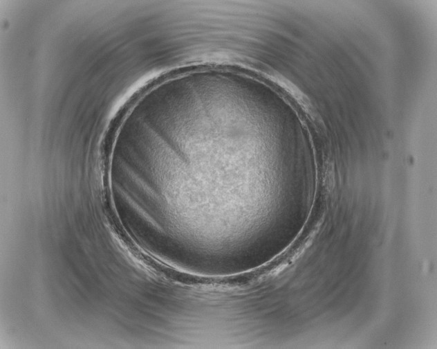 X0000087551118200705112114