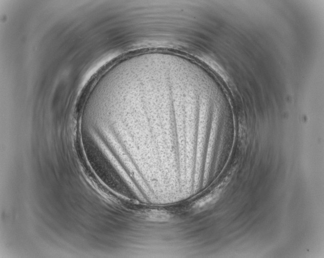 X0000087551119200705112114