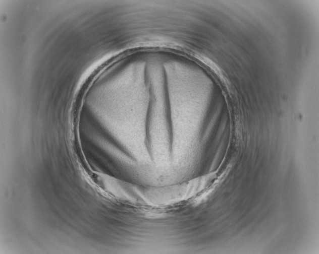 X0000087551120200705112114