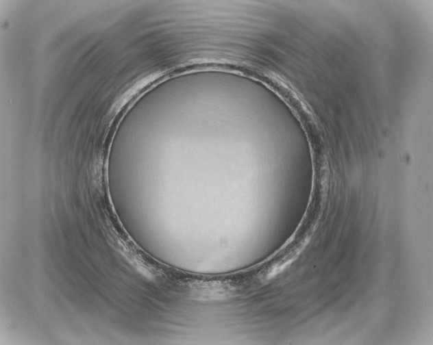 X0000087551121200705112114