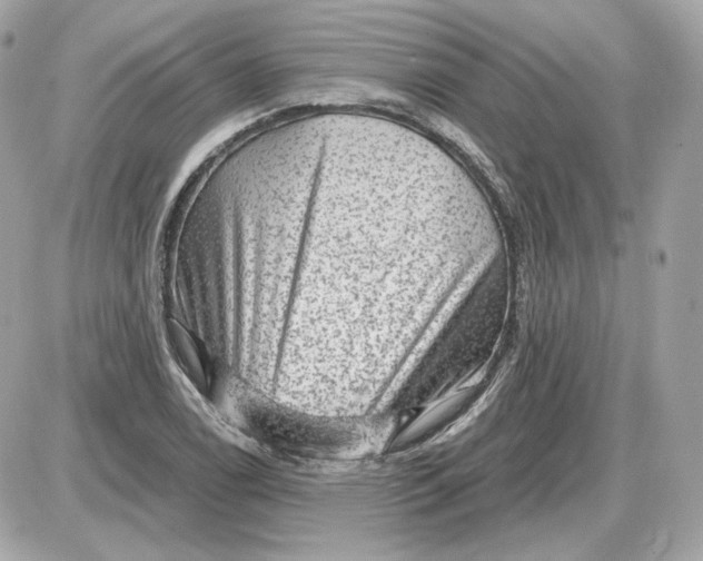 X0000087551122200705112114