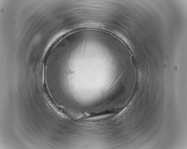 X0000087551123200705112114