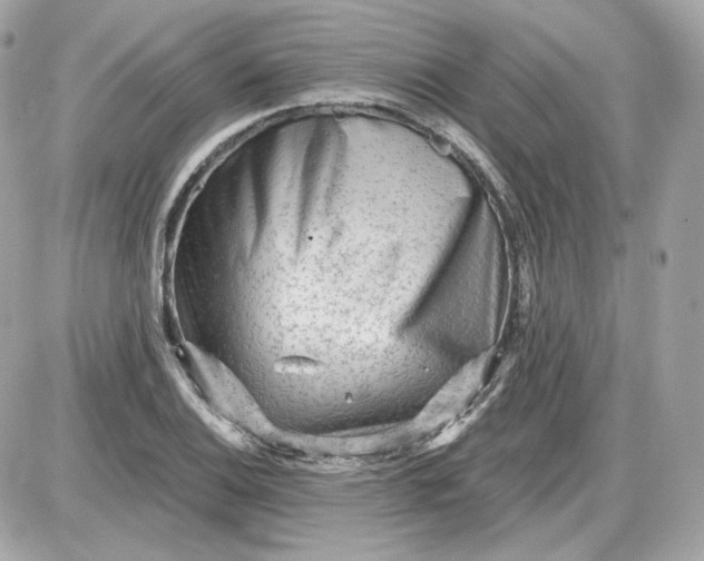 X0000087551124200705112114