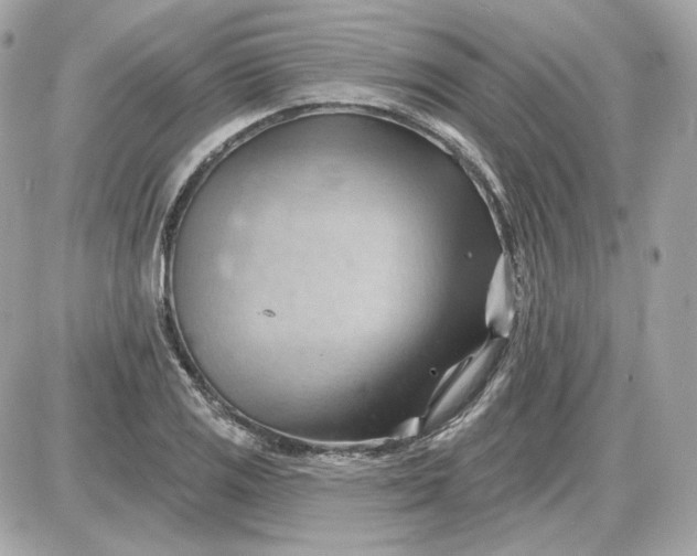 X0000087551125200705112114